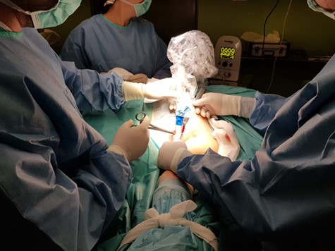 Marked lymph node opened showing magnetic seed placement.