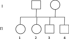 Numbered cases: sorted from older to youngest: (1) A 30-month-old girl with melena, coffee ground vomiting and severe anaemia. (2) A 38-month-old girl with epigastric pain, appetite loss and mild anaemia. (3) An 18-month-old boy with pallor and severe anaemia. (4) An 8-month-old boy with melena with no anaemia.