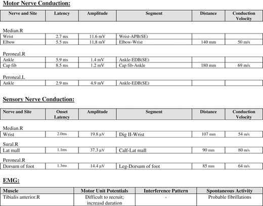 Neurophysiology investigations.