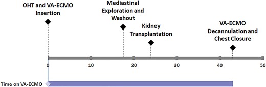 Combined staged HKT surgical timeline (hours).