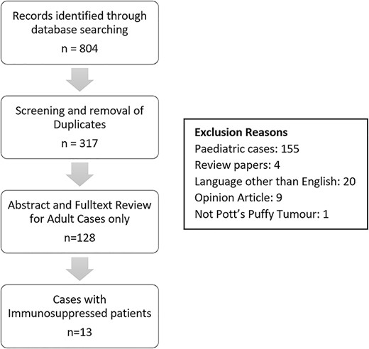 Flowchart of literature review