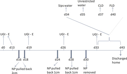 Schematic showing timing of esophagograms and retraction of NP tube along with introduction of diet. d0 is the day of admission/diagnosis (UGI-E—upper gastrointestinal series (esophagogram), NP nasopleural tube, CLD clear liquid diet, FLD full liquid diet).