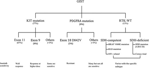 Figure: stratification of GIST based on current knowledge.