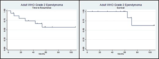 Kaplan–Meier curves of ‘Time to Recurrence’ (left side) and ‘Survival’ (right side).