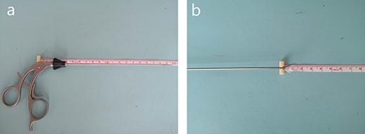 (a) The total length of the needle-type grasping forceps is about 15.5 cm. (b) The tip of the needle-type grasping forceps is about 1 cm.