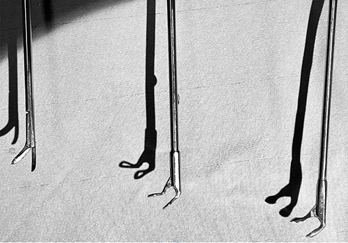 Examples of micro-forceps instruments used in microlaryngoscopy.