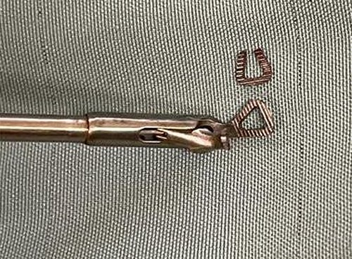 The dislodged limb from the heart-shaped micro-grasper.