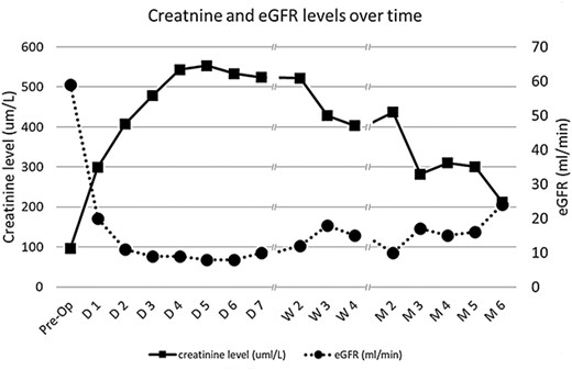 Time lapse of creatinine values and the corresponding eGFR from the immediate preoperative value to 6 months after the cesarean section operation where the iatrogenic allograft injury took place. D (#) = the number of days after the sentinel event; W (#) = the number of weeks after the sentinel event; M (#) = the number of months after the sentinel event.