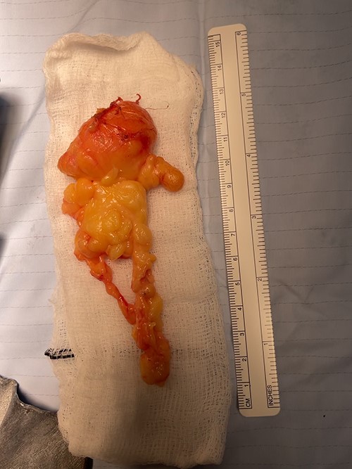 Final specimen measuring 12 × 7 × 2.4 cm.