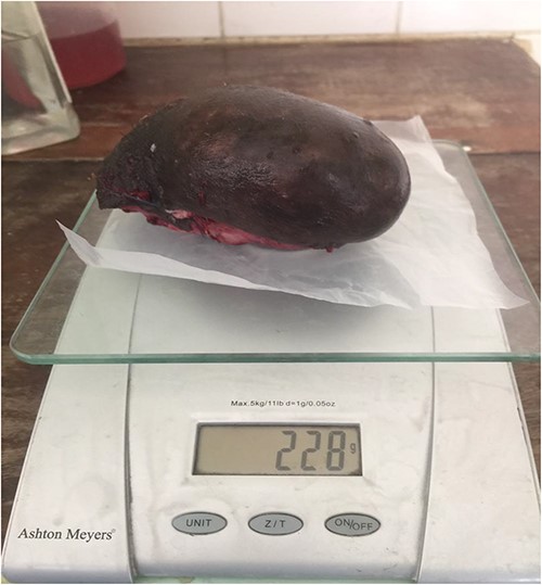 The weight of the mass in grams.