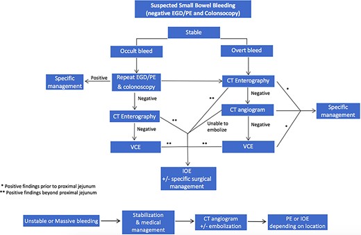 Proposed algorithm for the management of suspected small bowel bleeding in stable and unstable patients.