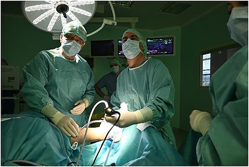 Arthroscopy of the ankle.