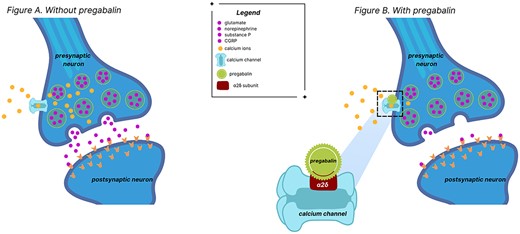 The mechanism of action of pregabalin.