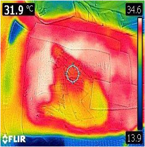 DDT of the wounds surface.