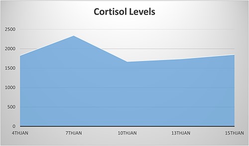 Persistent elevated cortisol level despite using Metyrapone until the date of the surgery (10th Jan).