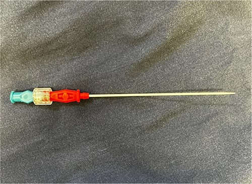 Outer catheter with a connection port and an inner dilating catheter of the coaxial system.
