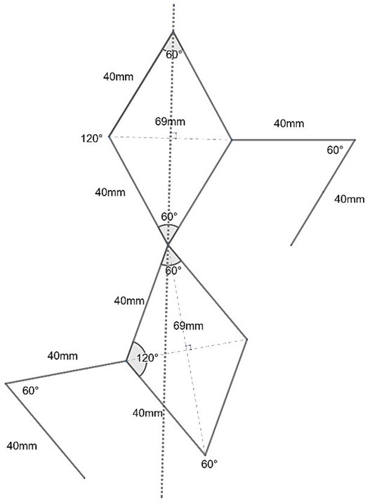 Diagram of position and dimensions of the double Limberg flap. Dotted line – midline; solid lines – incisions.