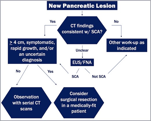 Diagnostic and management algorithm for pancreatic serous cystadenomas.