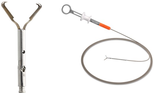 MANTIS closure device (Boston Scientific Corporation, Marlborough, MA, USA)