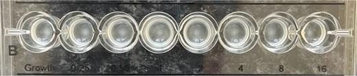 Colistin susceptibility by broth microdilution. Resistant isolate (MIC = >16 mg/L).