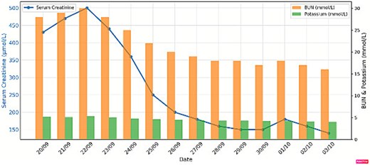 Renal function before and after living donor kidney transplant.
