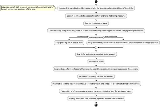 The emergency response and strategy flowchart tailored for large bulk carriers.