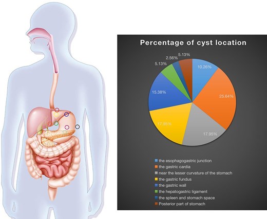 Location and percentage distribution of cysts.