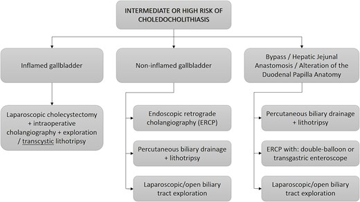 New flowchart proposed for the management of patients at intermediate or high risk of choledocholithiasis due to the advent of new technologies such as SpyGlass.