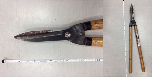 The pruning shears that caused the stab wound in this case. The pruning shears responsible for the injury, with a blade length of ~15 cm. Blood clots were visible up to the base of the blade, indicating full-length penetration.