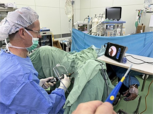 The lead surgeon operates whilst the surgical assistant controls the handheld diathermy.