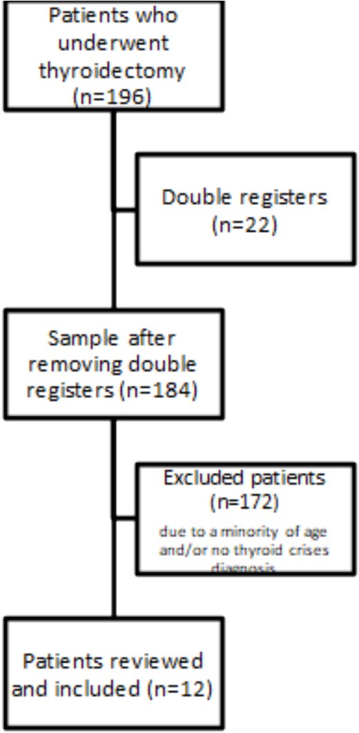 The selection process of patients included in the study.