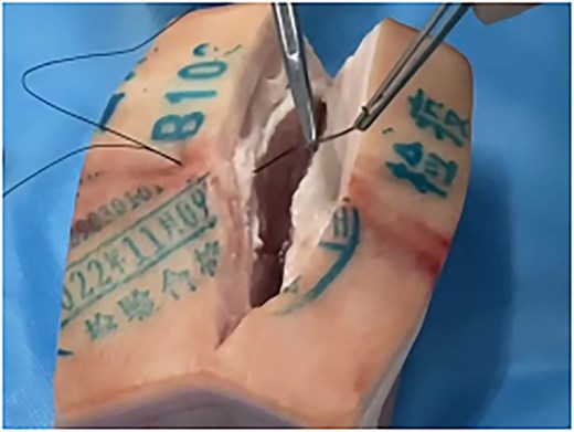 Stitching experiment on pork.