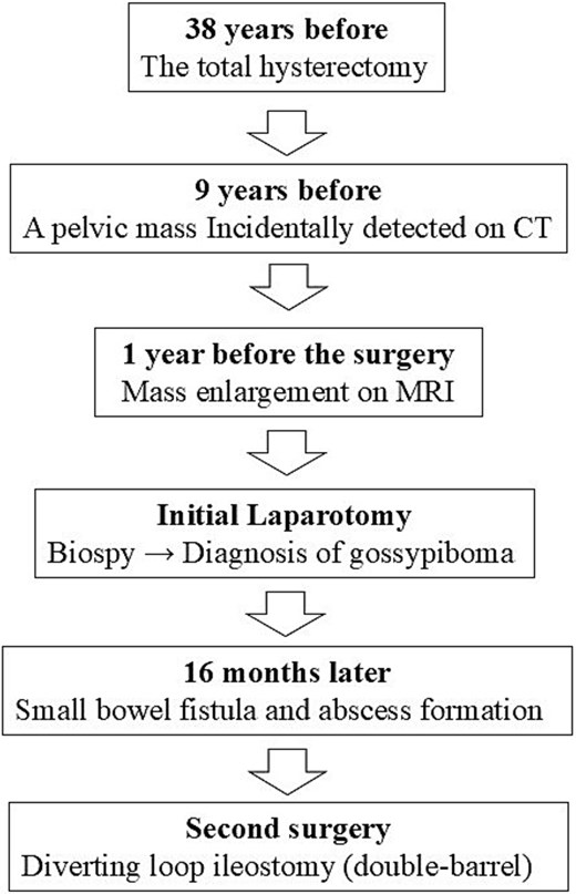 Clinical timeline of the present case.