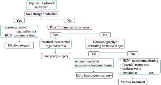 Flowchart of the differential diagnosis for inguinal hydrocele in women.