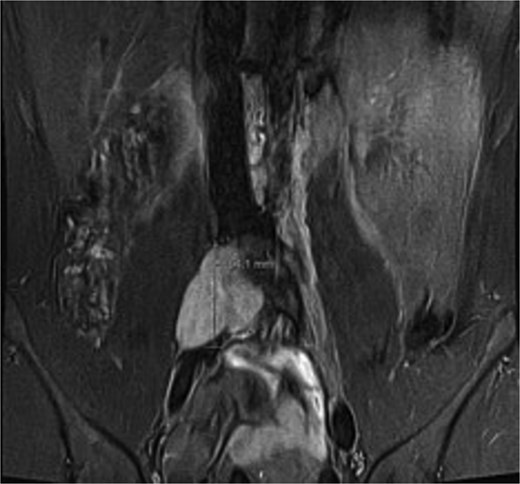 For image description, please refer to the figure legend and surrounding text.