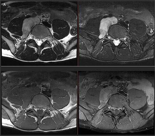 For image description, please refer to the figure legend and surrounding text.