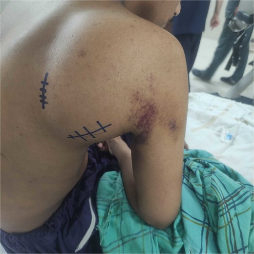 For image description, please refer to the figure legend and surrounding text.