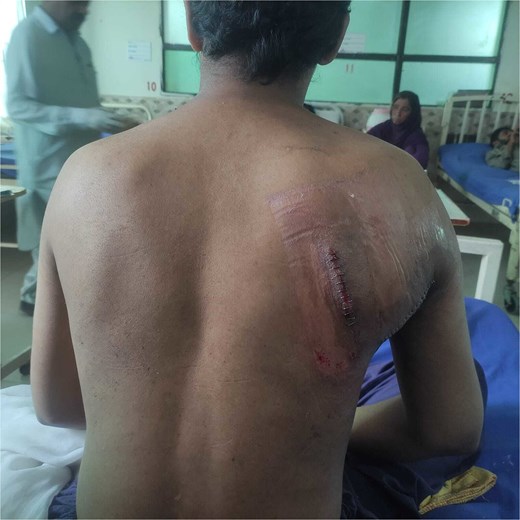 For image description, please refer to the figure legend and surrounding text.