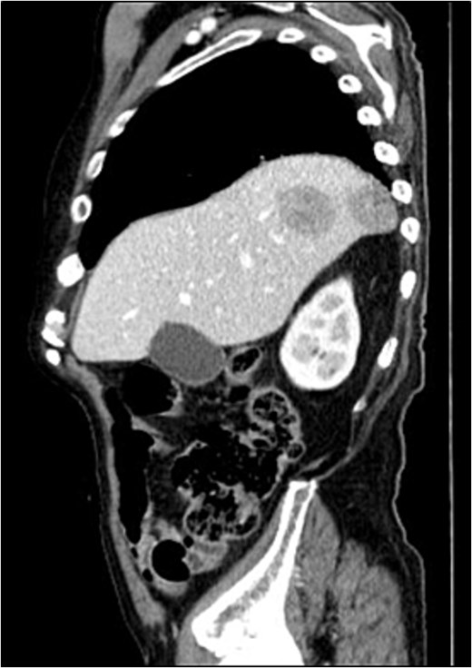 For image description, please refer to the figure legend and surrounding text.