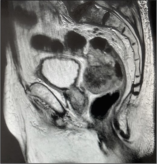 For image description, please refer to the figure legend and surrounding text.