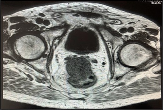 For image description, please refer to the figure legend and surrounding text.