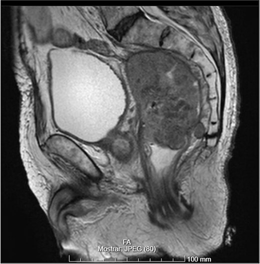 For image description, please refer to the figure legend and surrounding text.