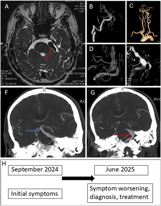 For image description, please refer to the figure legend and surrounding text.
