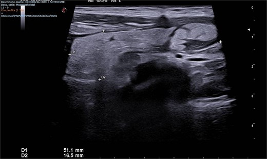 For image description, please refer to the figure legend and surrounding text.