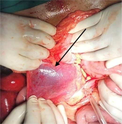 For image description, please refer to the figure legend and surrounding text.