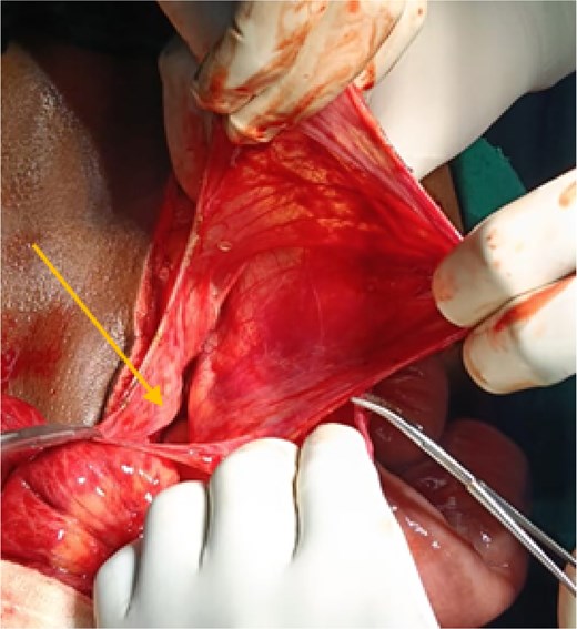 For image description, please refer to the figure legend and surrounding text.