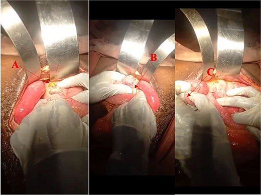 For image description, please refer to the figure legend and surrounding text.