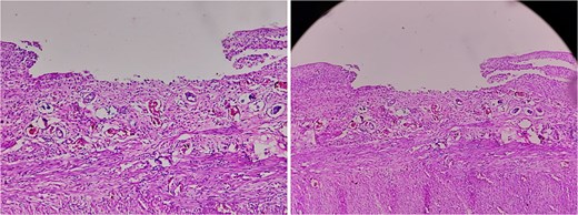 For image description, please refer to the figure legend and surrounding text.