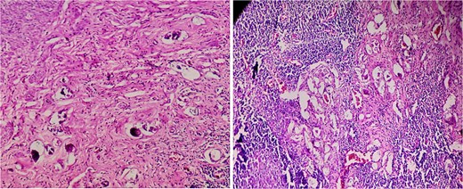 For image description, please refer to the figure legend and surrounding text.