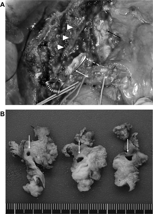 For image description, please refer to the figure legend and surrounding text.